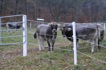 Equisafe - ogrodzenia elektryczne, pastuch, HDPE