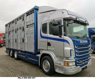 Scania  G 480  DO PRZEWOZU ZWIERZAT