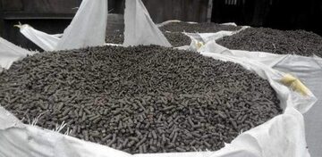 Pellet z łuski słonecznika
