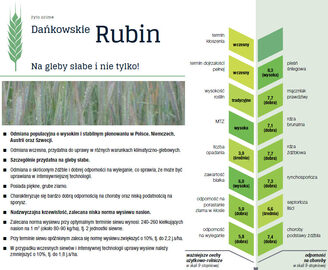 Kwalifikowane nasiona siewne żyto ozime Dańkowskie Rubin, Diament C1
