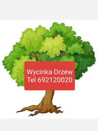 Wycinka drzew karczowanie nieuzytków Rzeszów