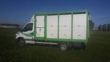 Skup Bydła firma Trade Bydło