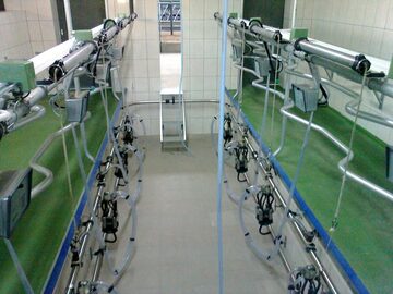 Hala udojowa GEA Westfalia (nowe i używane) 