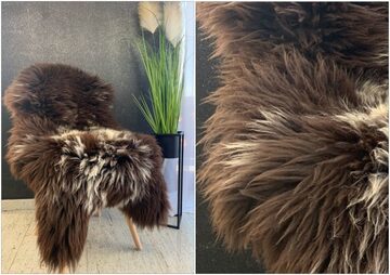 Skóra owcza Holenderska & Texel - Producent Adam Leather