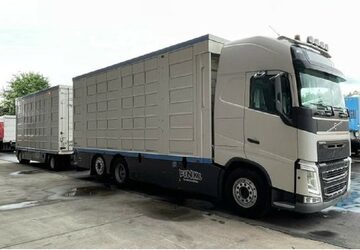   do przewozu zwierzat 4 poziomy MENKE Mercedes ACTROS 2551