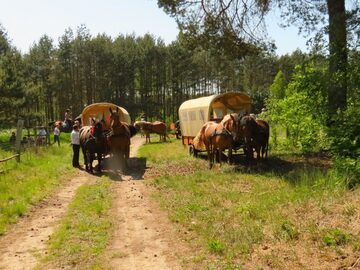 Nauka jazdy konnej, przejażdżki bryczkami, pensjonat dla koni