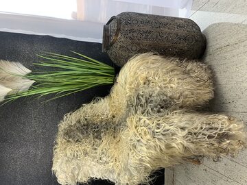Skóra owcza Gotland - Producent Adam Leather