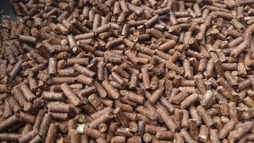 Herbata gryczana Soba Cha 1kg Tatarka