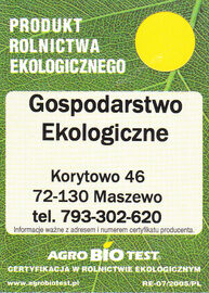 Kasza gryczana nieprażona niepalona