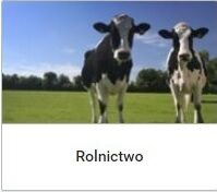 Chemia rolnicza - mycie urządzeń udojowych, dezynfekcja powierzchni